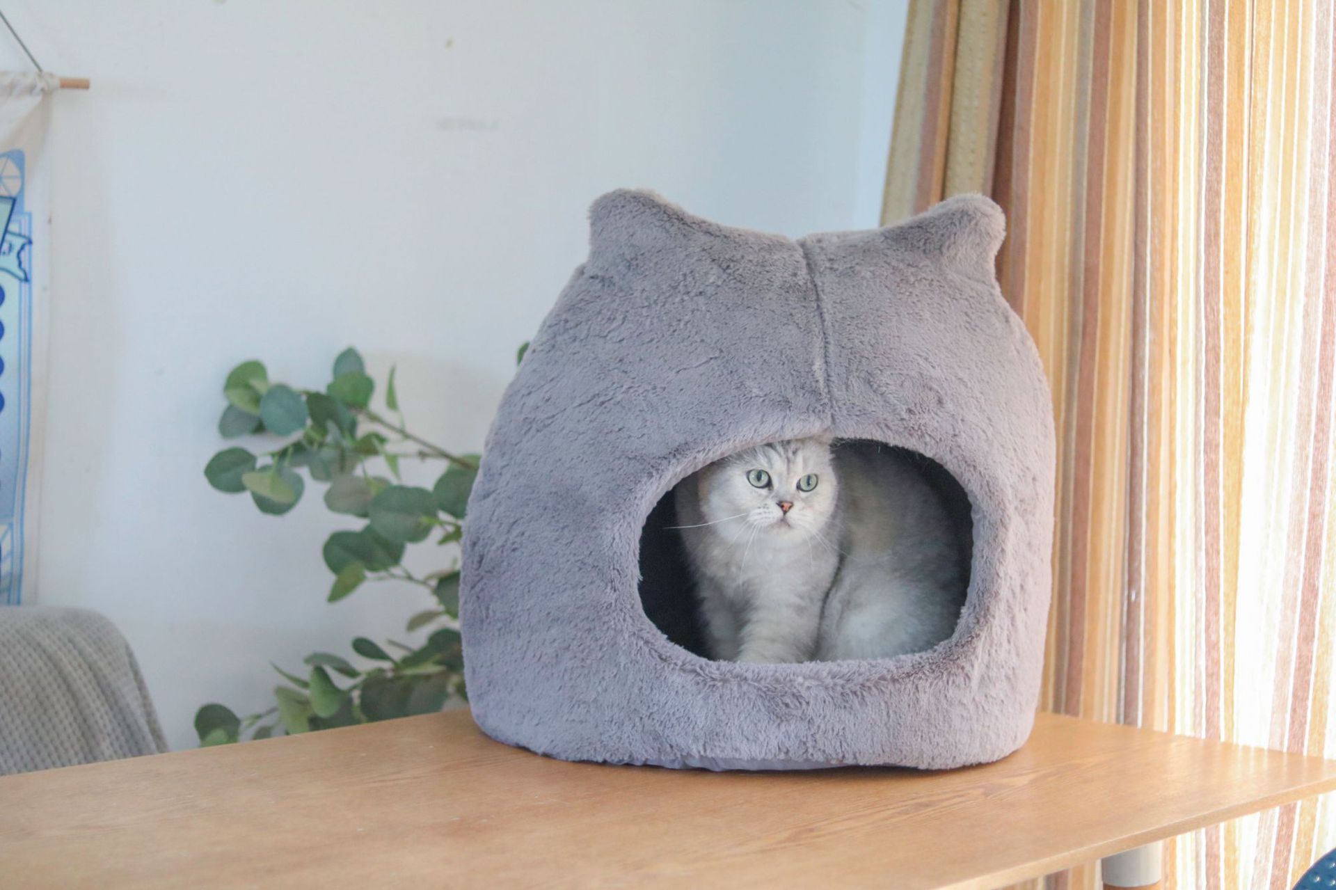 KFX-1658941 Cozy Cat Nest for Autumn and Winter – Removable, Washable, Semi-Closed Design with Cat Ears, Universal for All Seasons