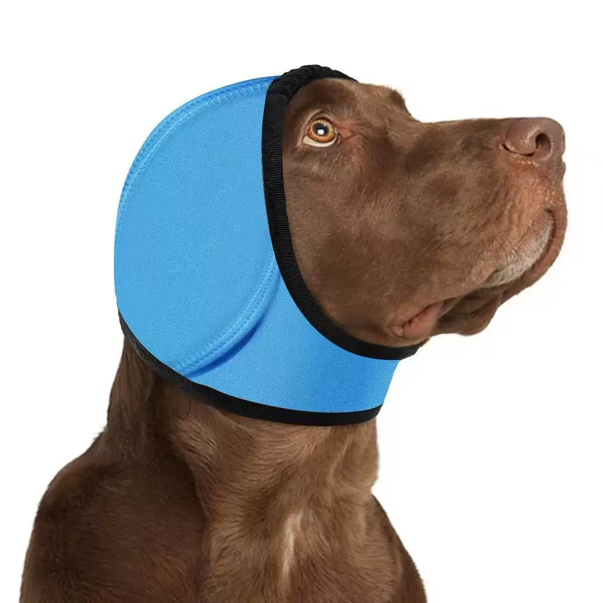 KFX-1665469 Swim-Proof Cotton Head Cover for Dogs - Casual Solid Color Design