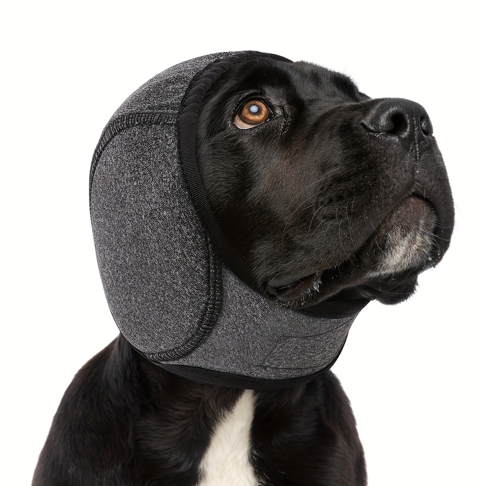 KFX-1665469 Swim-Proof Cotton Head Cover for Dogs - Casual Solid Color Design