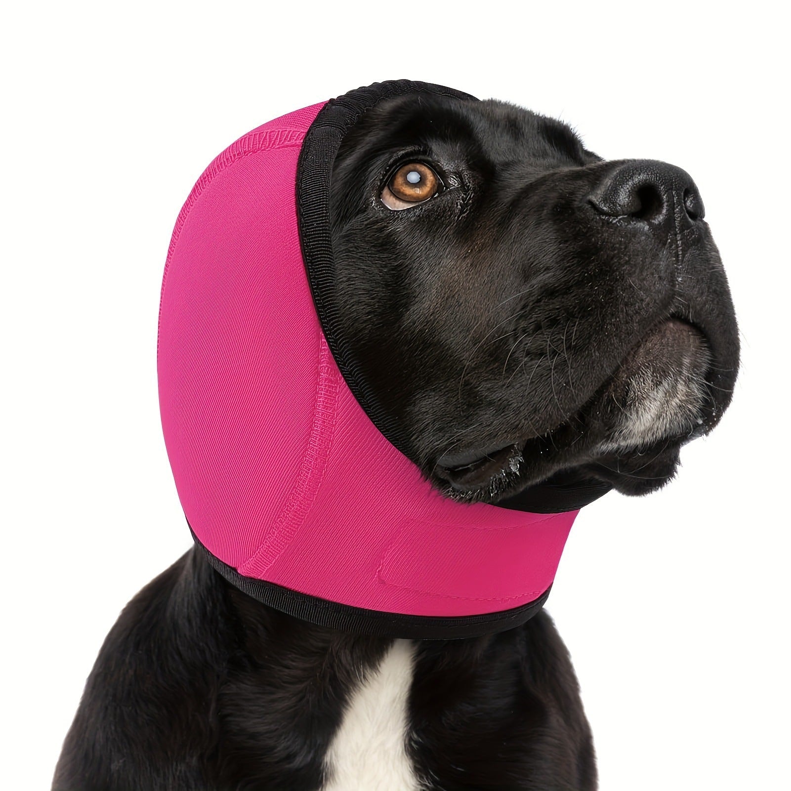 KFX-1665469 Swim-Proof Cotton Head Cover for Dogs - Casual Solid Color Design
