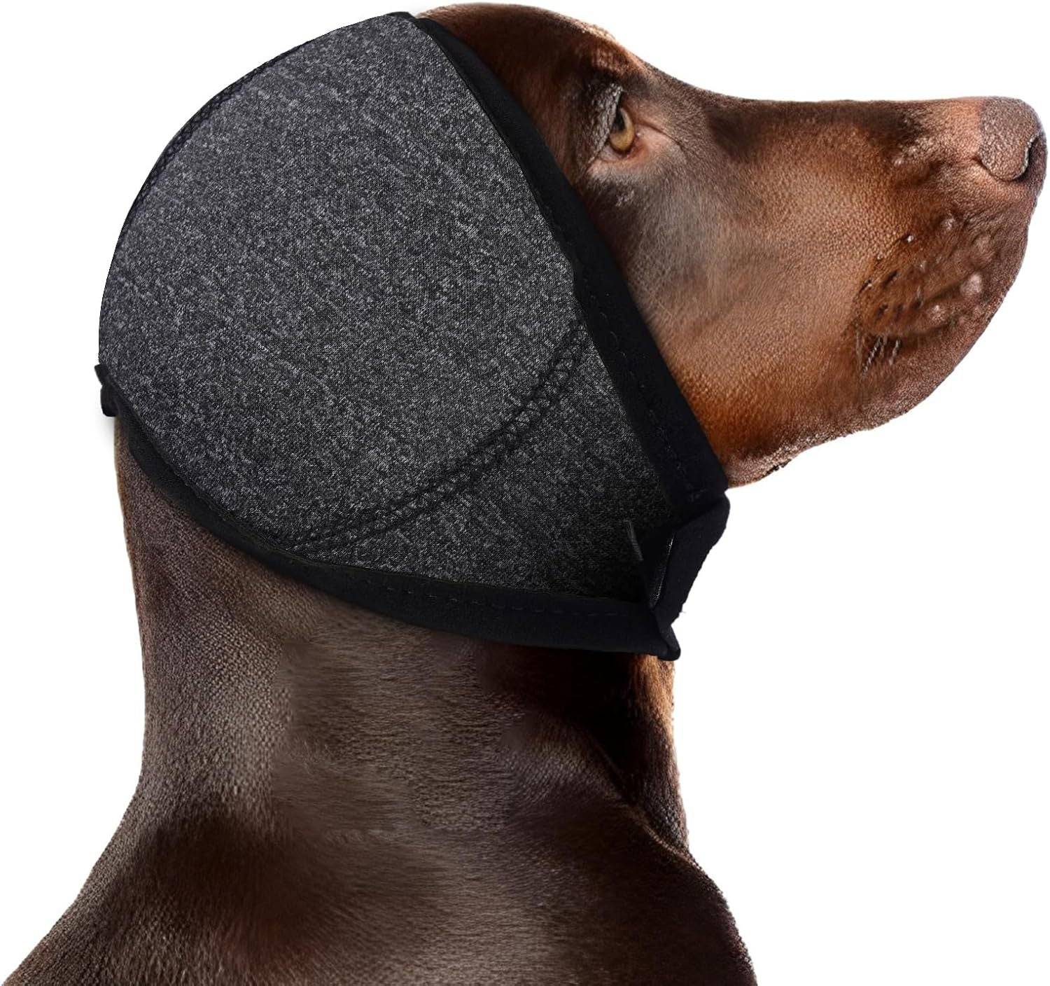 KFX-1665469 Swim-Proof Cotton Head Cover for Dogs - Casual Solid Color Design