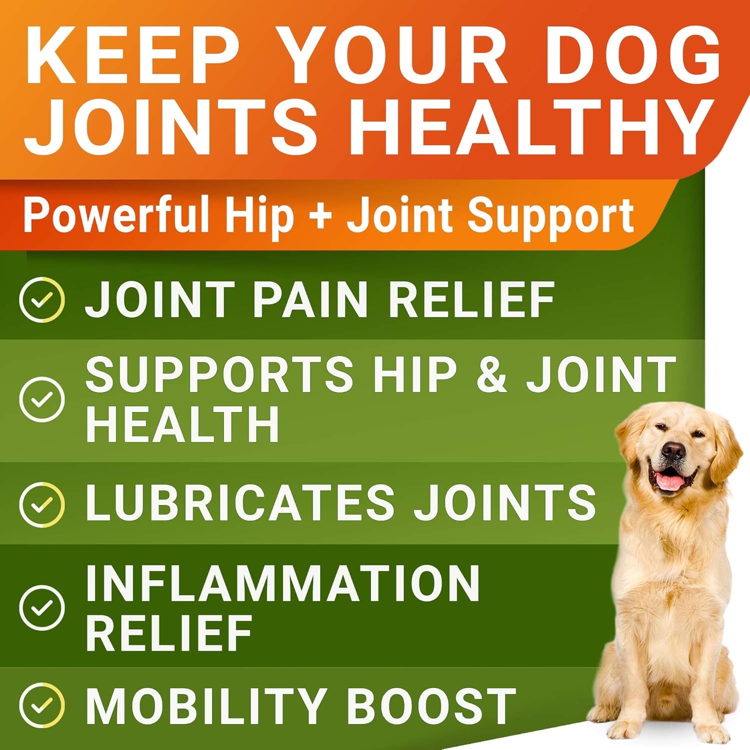 KFX-1666493 Hip & Joint Health Supplement for Dogs - 120 Chews with Glucosamine, Chondroitin, MSM & Hyaluronic Acid
