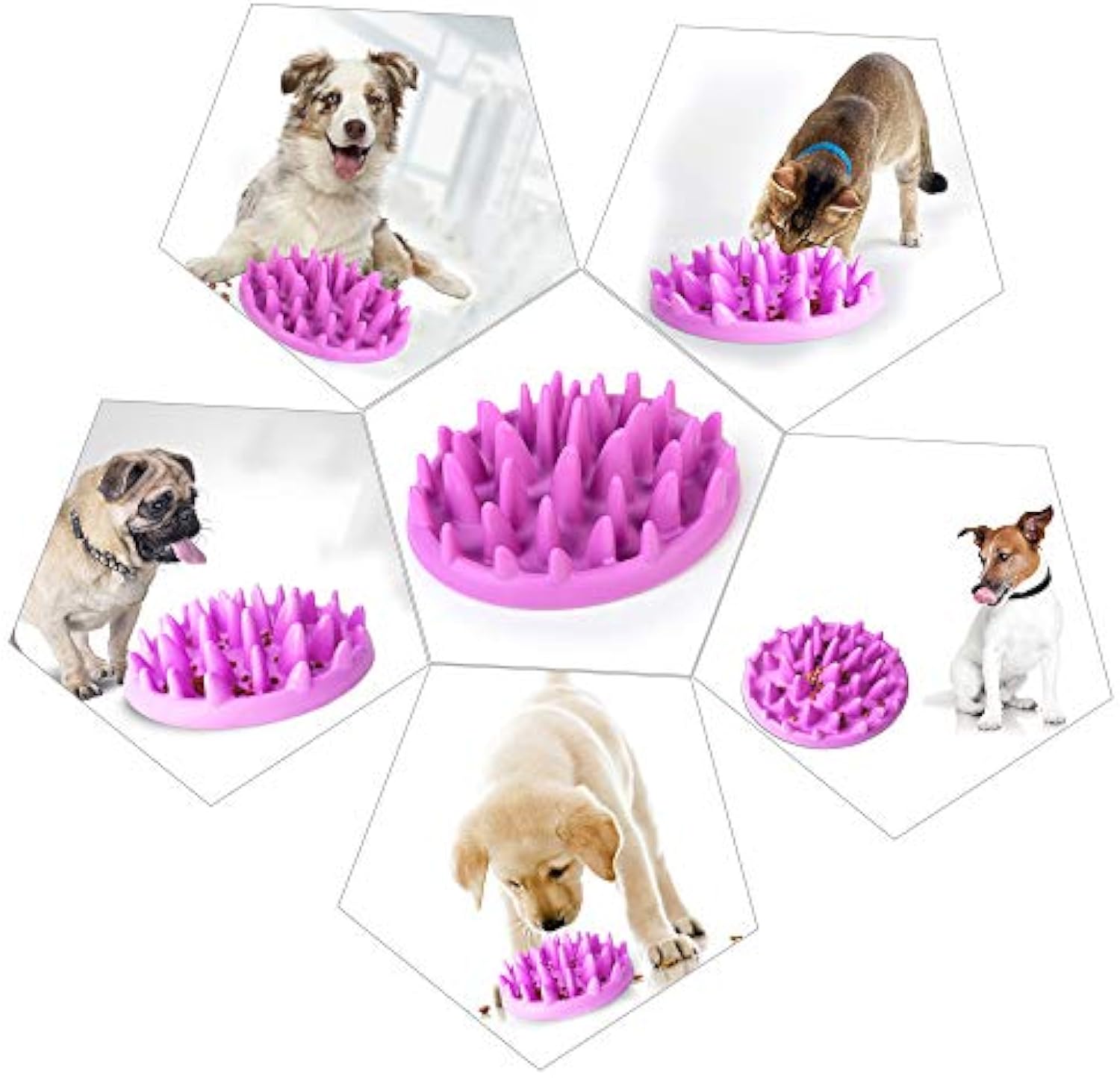 KFX-1667901 Interactive Non-Slip Cat and Dog Slow Feeder Bowl - Anti-Choking Puzzle Design in Green and Purple