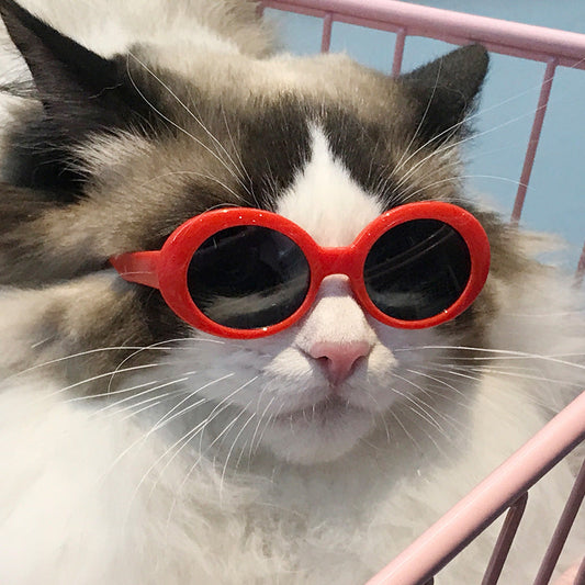 KFX-1668029 Stylish Red Pet Sunglasses for Cats with UV400 Protection and Full Frame Design