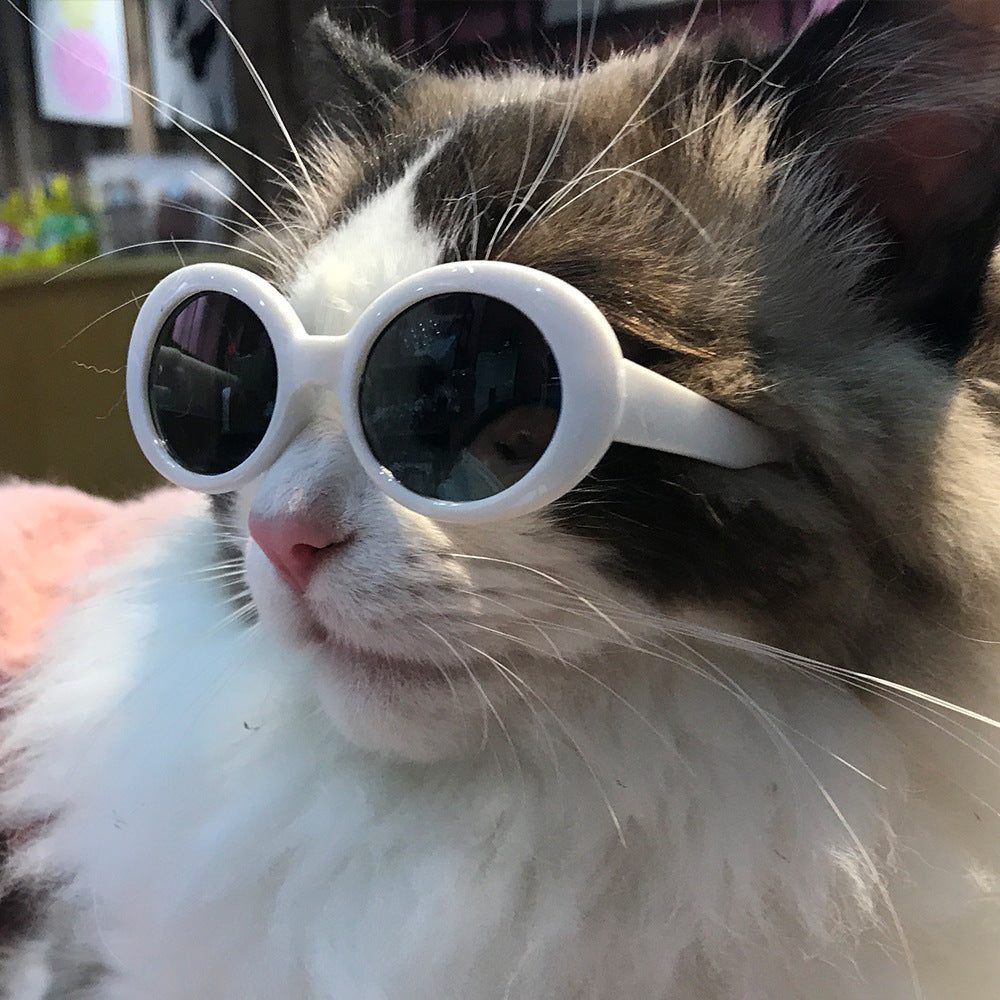 KFX-1668029 Stylish Red Pet Sunglasses for Cats with UV400 Protection and Full Frame Design