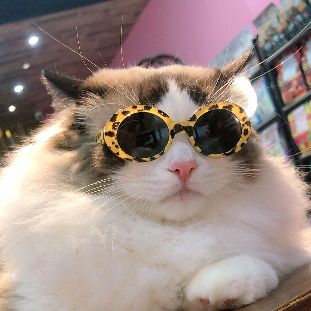 KFX-1668029 Stylish Red Pet Sunglasses for Cats with UV400 Protection and Full Frame Design
