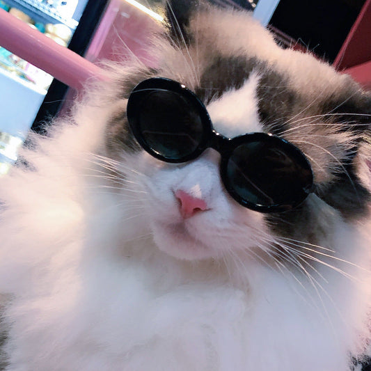 KFX-1668029 Stylish Red Pet Sunglasses for Cats with UV400 Protection and Full Frame Design