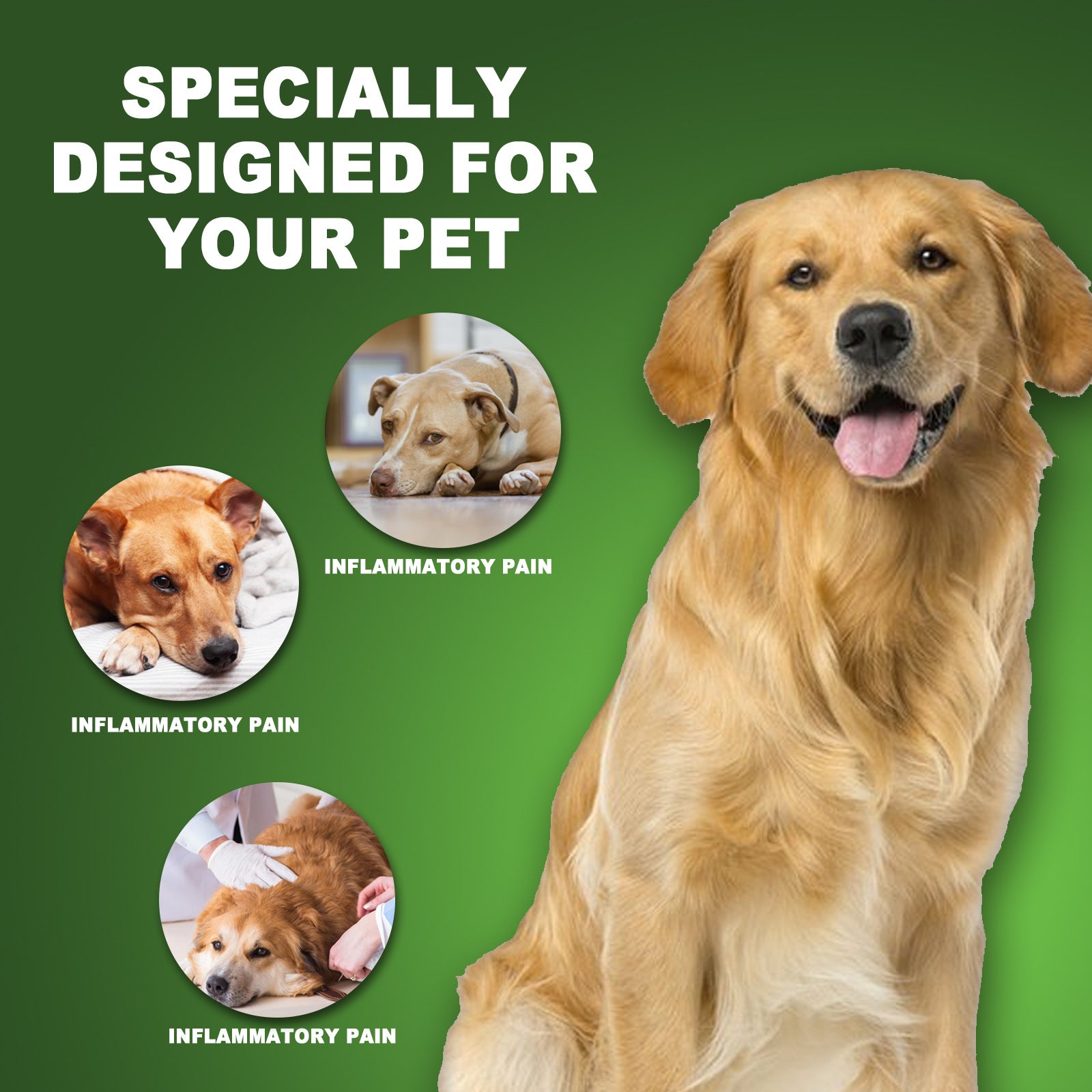 KFX-1668285 Pet Pain Relief Drops - 60ml Formula with Natural Extracts for Discomfort Relief
