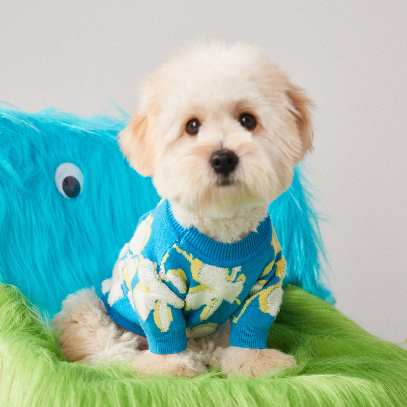 KFX-1685693 Teddy Bear Style Wool Pet Sweater for Dogs and Cats - Warm Winter Wear, Blue, Sizes S to XXL