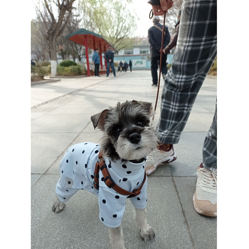 KFX-1695805 Casual Four-Legged Pet Clothing in Various Colors for Comfortable Wear