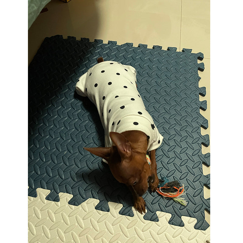 KFX-1695805 Casual Four-Legged Pet Clothing in Various Colors for Comfortable Wear