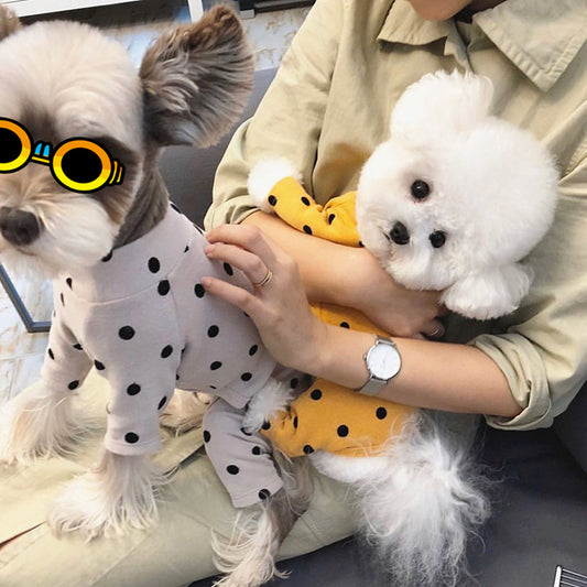 KFX-1695805 Casual Four-Legged Pet Clothing in Various Colors for Comfortable Wear