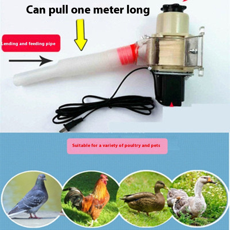 KFX-1697213 Solar-Powered Automatic Chicken and Duck Feeder with Timer and Watertight Design