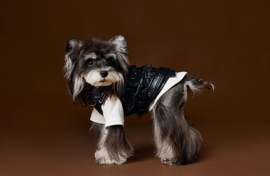KFX-1697981 Sleeveless Leather Jacket for Pets - Stylish Cargo Pocket Vest in Various Sizes