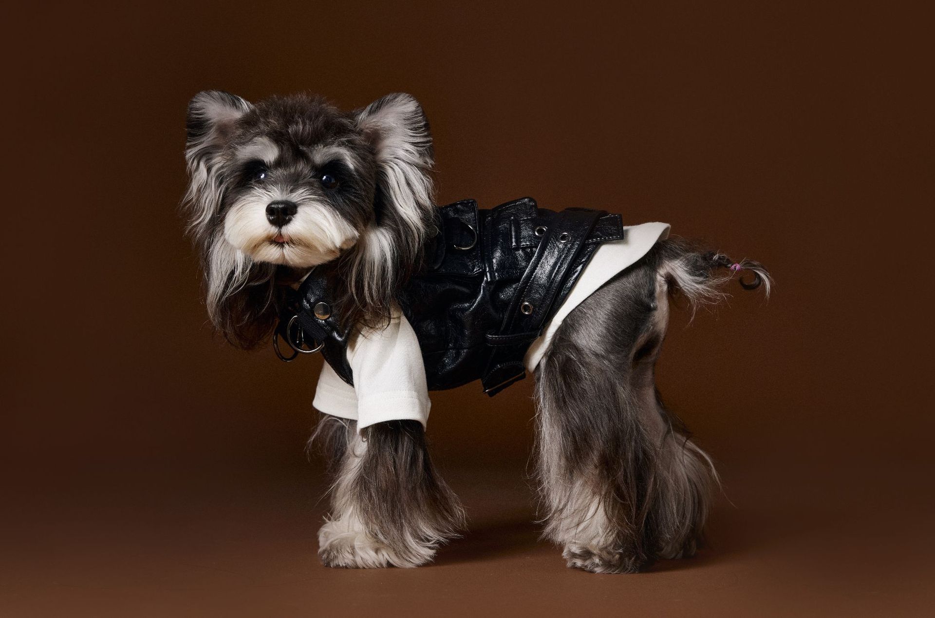 KFX-1697981 Sleeveless Leather Jacket for Pets - Stylish Cargo Pocket Vest in Various Sizes