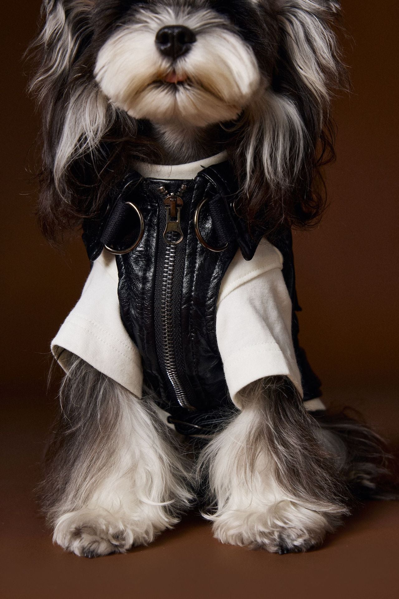 KFX-1697981 Sleeveless Leather Jacket for Pets - Stylish Cargo Pocket Vest in Various Sizes