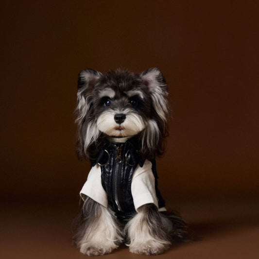 KFX-1697981 Sleeveless Leather Jacket for Pets - Stylish Cargo Pocket Vest in Various Sizes
