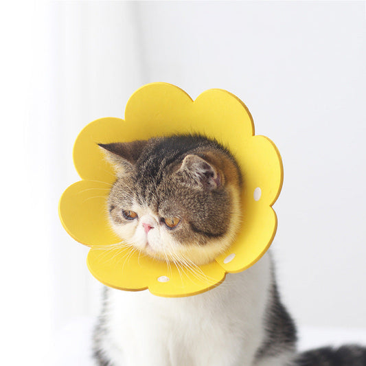 KFX-1698237 Cat Anti-Lick Elizabeth Circle - Sunflower Sponge Paper in Yellow and Pink, Multiple Sizes Available