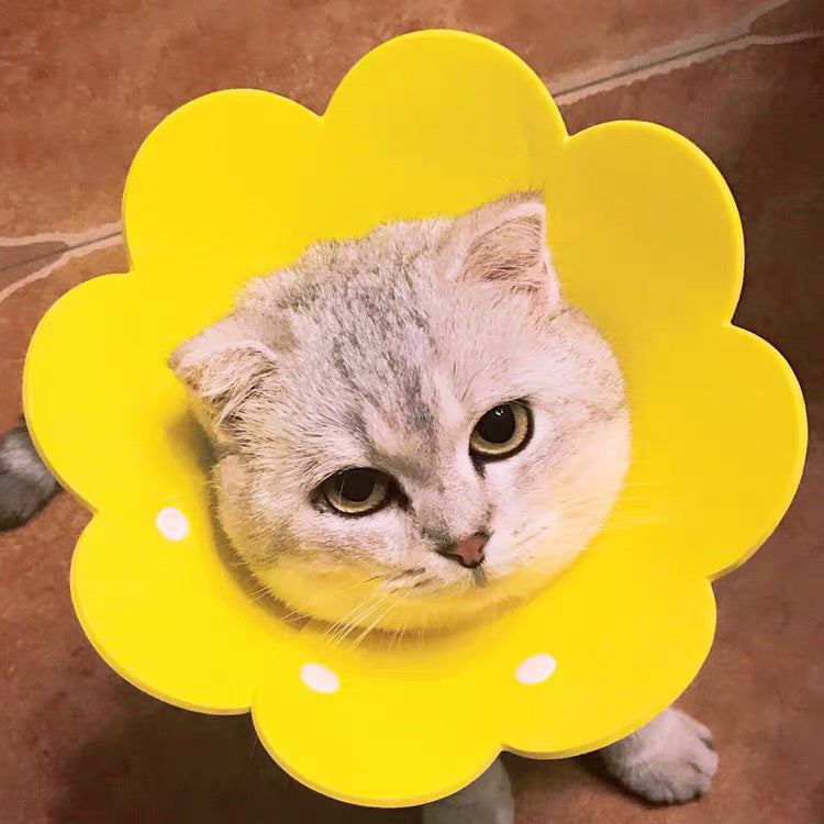 KFX-1698237 Cat Anti-Lick Elizabeth Circle - Sunflower Sponge Paper in Yellow and Pink, Multiple Sizes Available