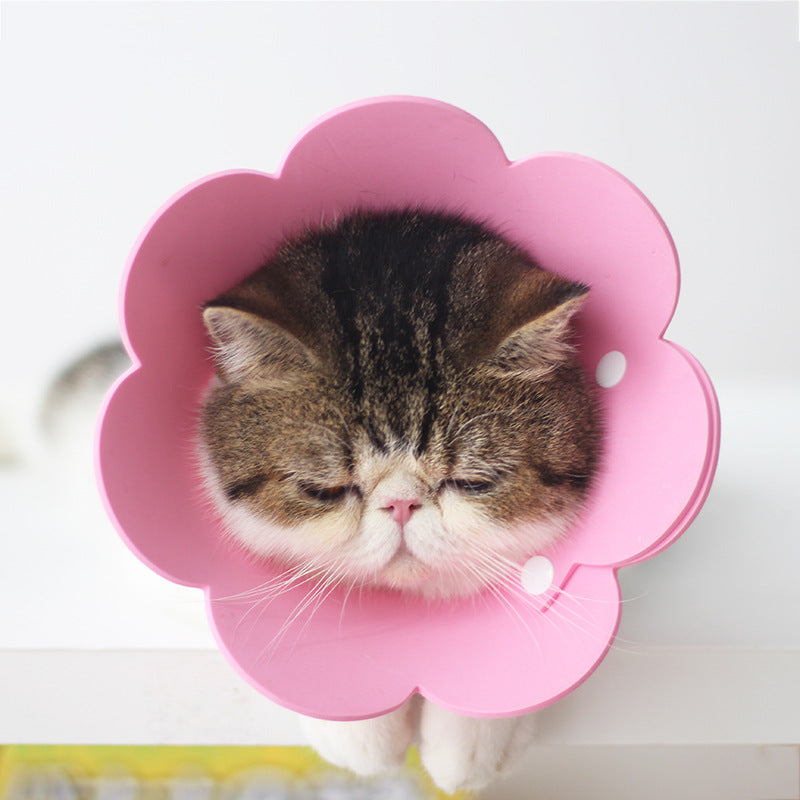 KFX-1698237 Cat Anti-Lick Elizabeth Circle - Sunflower Sponge Paper in Yellow and Pink, Multiple Sizes Available
