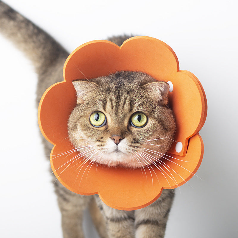 KFX-1698237 Cat Anti-Lick Elizabeth Circle - Sunflower Sponge Paper in Yellow and Pink, Multiple Sizes Available