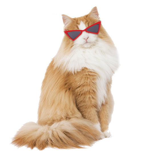KFX-1700797 Colorful Pet Sunglasses for Dogs and Cats - Leisure Fashion Accessories in Various Shades