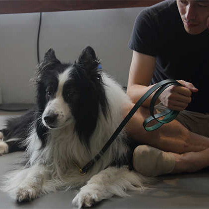KFX-1702973 Leather Pet Traction Strap in Blue, Green, or Red - 1.2cm/1.8cm Width, 120cm Length, Suitable for Dogs Up to 35KG