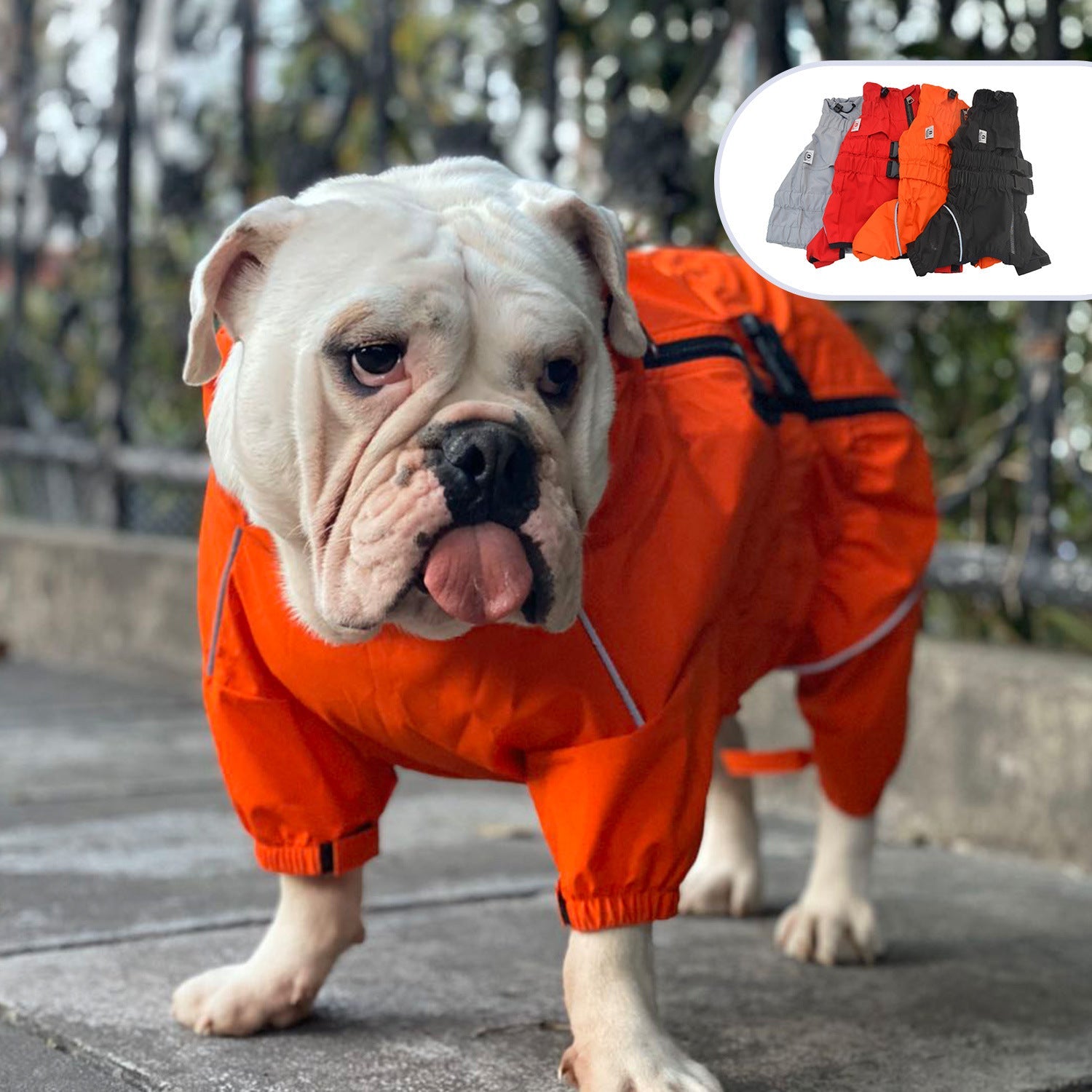 KFX-1706557 Outdoor Waterproof Dog Raincoat for All Breeds – Multiple Sizes Available