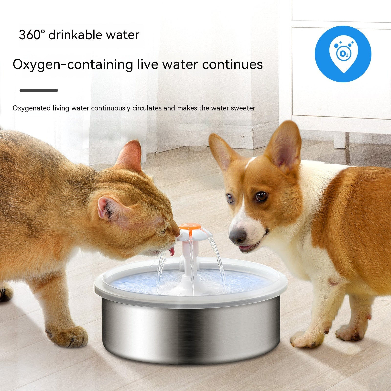 KFX-1710781 Stainless Steel Electric Pet Water Dispenser with 2.2L Capacity