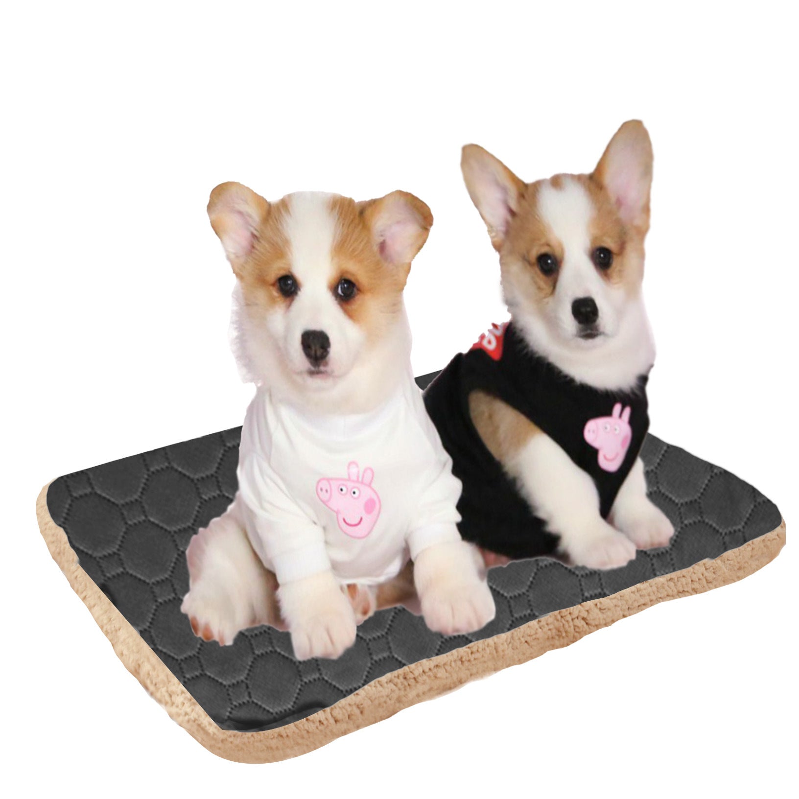 KFX-1716541 Three-Layer Absorbent Pet Mat for Warmth and Comfort in Light Coffee and Gray
