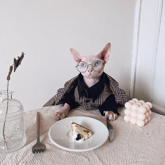 KFX-1720125 Sphinx Cat Outfit with Camel Plaid Jacket, Vest, and Shirts in Multiple Sizes
