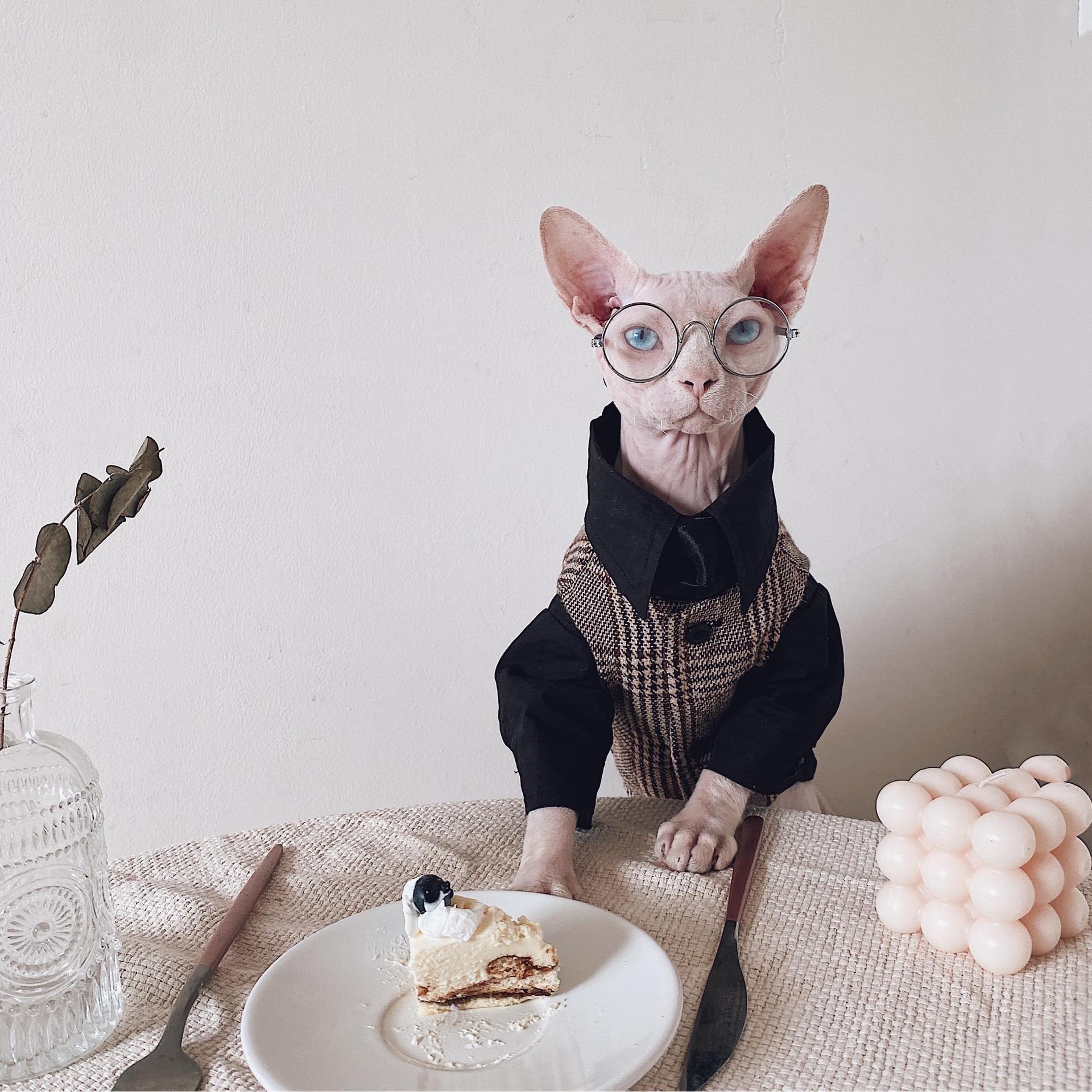 KFX-1720125 Sphinx Cat Outfit with Camel Plaid Jacket, Vest, and Shirts in Multiple Sizes