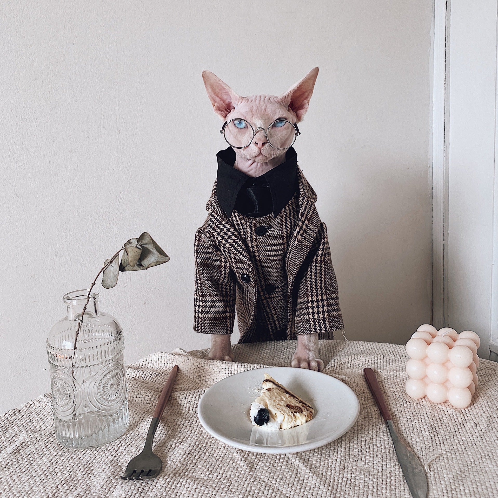 KFX-1720125 Sphinx Cat Outfit with Camel Plaid Jacket, Vest, and Shirts in Multiple Sizes