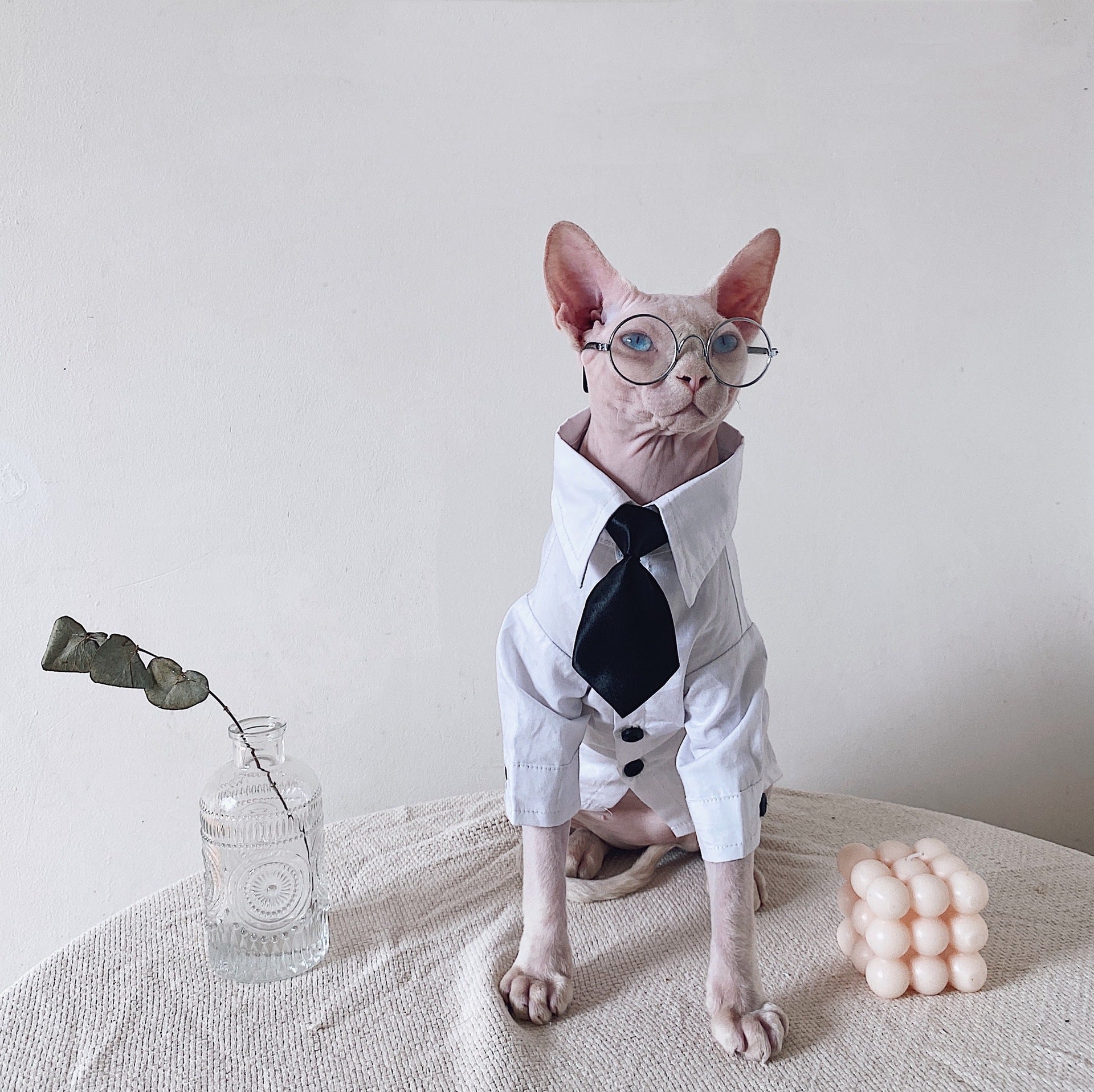 KFX-1720125 Sphinx Cat Outfit with Camel Plaid Jacket, Vest, and Shirts in Multiple Sizes