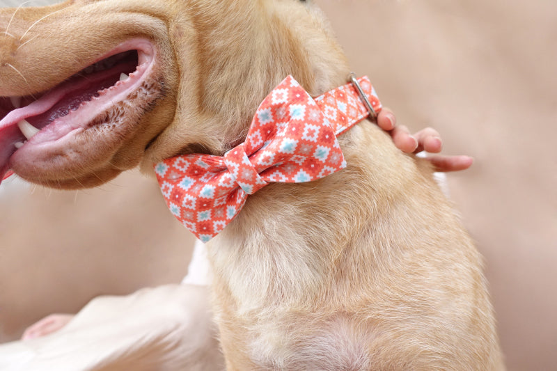 KFX-1720253 Thick Cotton and Nylon Dog Leash with Matching Collar for Medium and Large Dogs in Pink