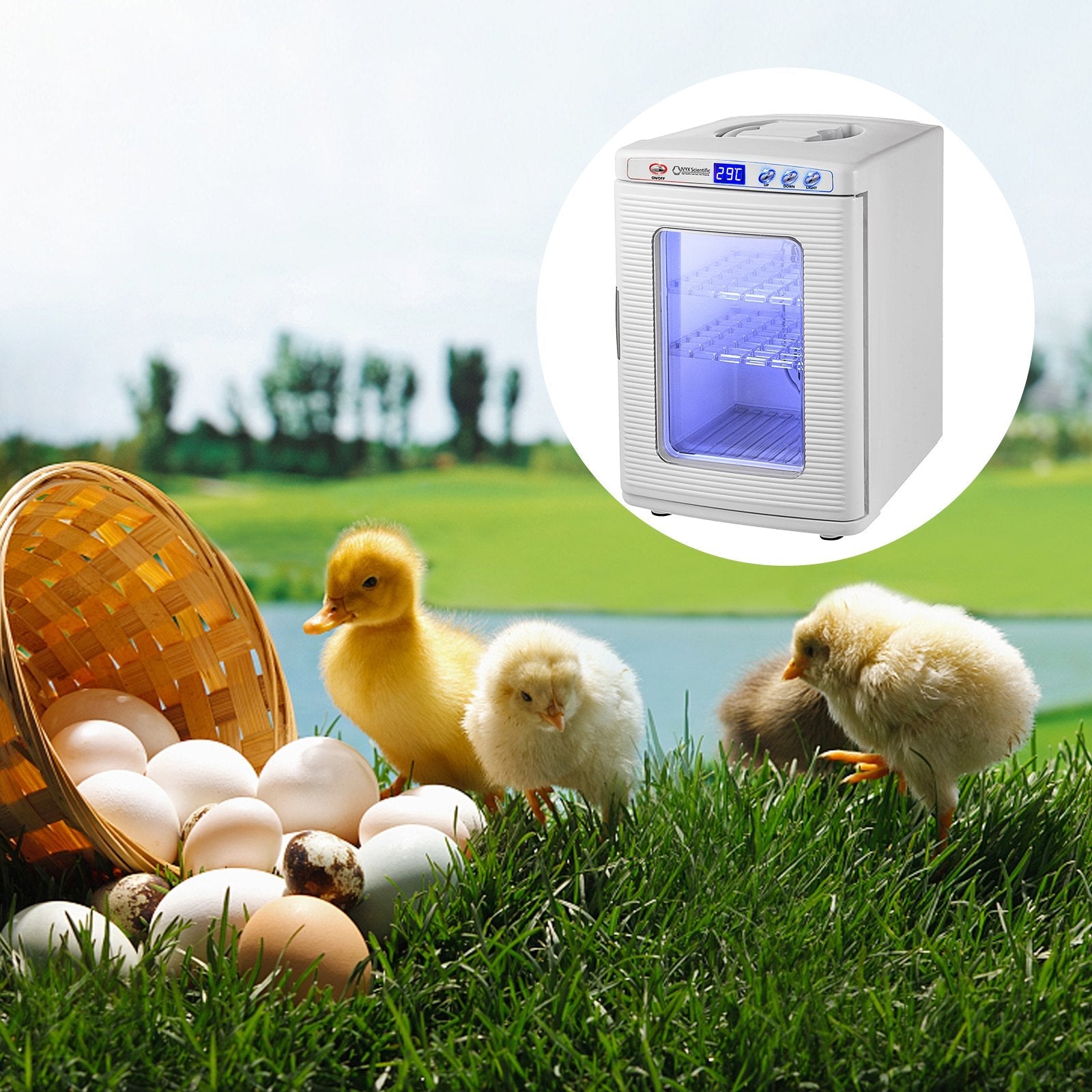 KFX-1726269 Digital Reptile Incubator 25L with Adjustable Temperature Control and Humidity Management