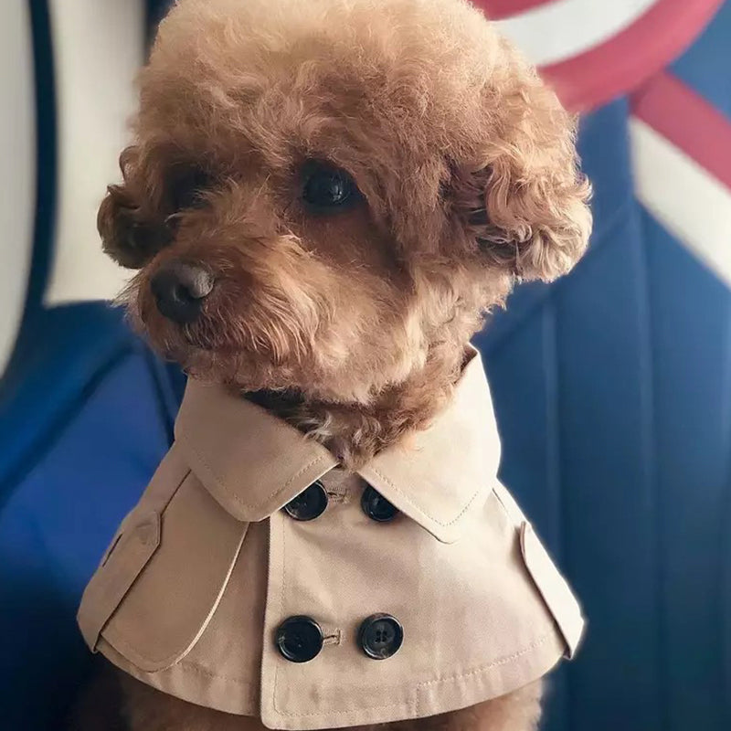 KFX-1728573 Warm British Style Pet Trench Coat for Cats and Dogs, Autumn and Winter Apparel