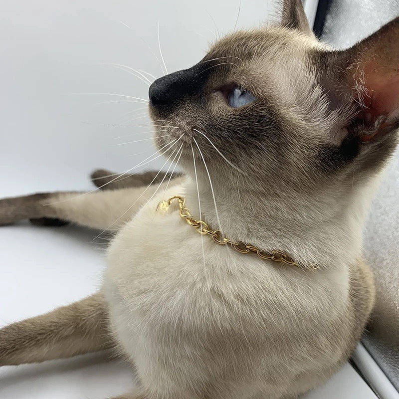 KFX-1728829 Love Heart Pendant Necklace for Pets - Stainless Steel, Multiple Lengths Available in Gold and Silver