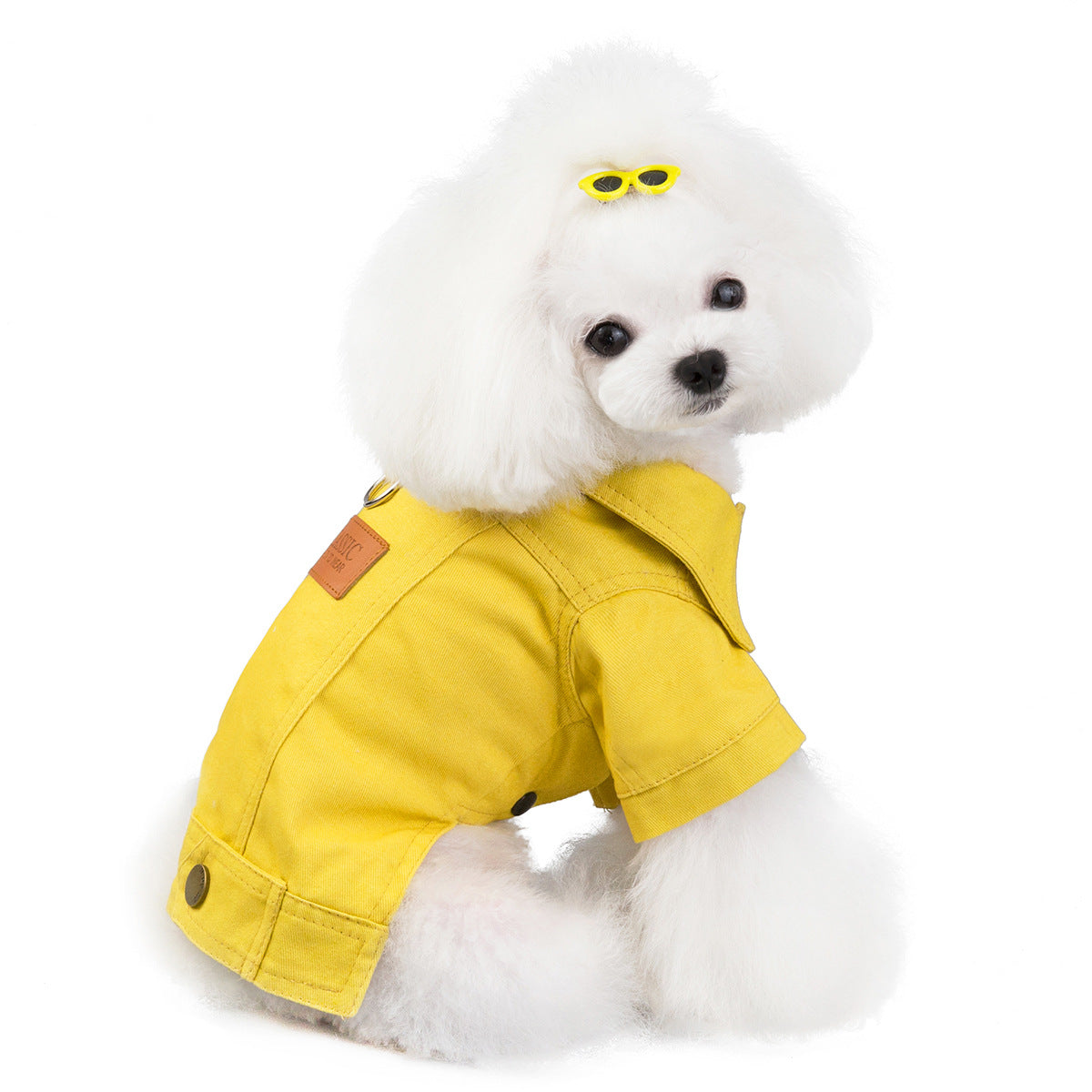 KFX-1730365 Casual Cotton Clothes for Small Pets - Available in Blue, Yellow, Green