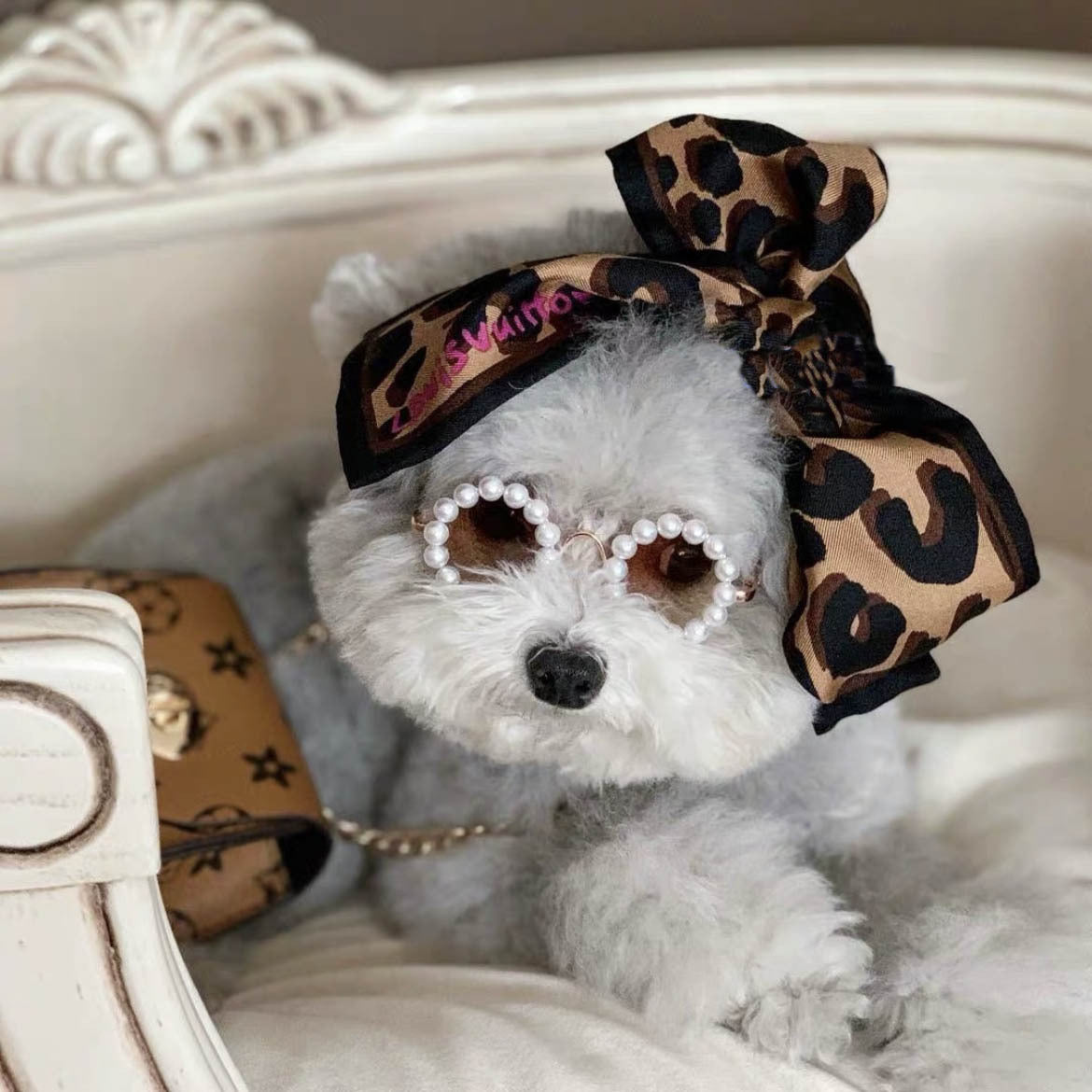 KFX-1731005 Stylish Pet Sunglasses with Pearl Accents - Small & Large Sizes Available