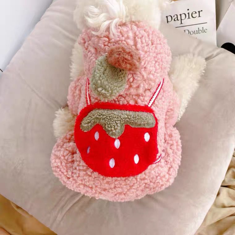 KFX-1732541 Strawberry Pattern Cotton-Padded Dog Coat for All Breeds