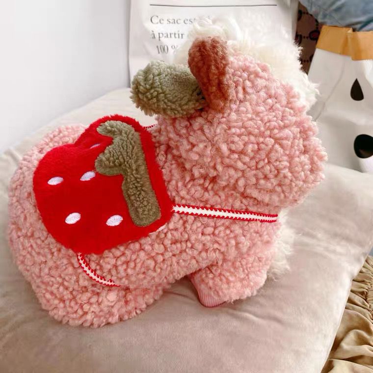 KFX-1732541 Strawberry Pattern Cotton-Padded Dog Coat for All Breeds