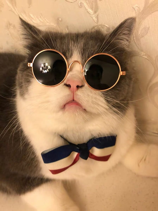 KFX-1733565 Cat Lion Mane Hat with Sunglasses - Cute Funny Pet Photo Prop