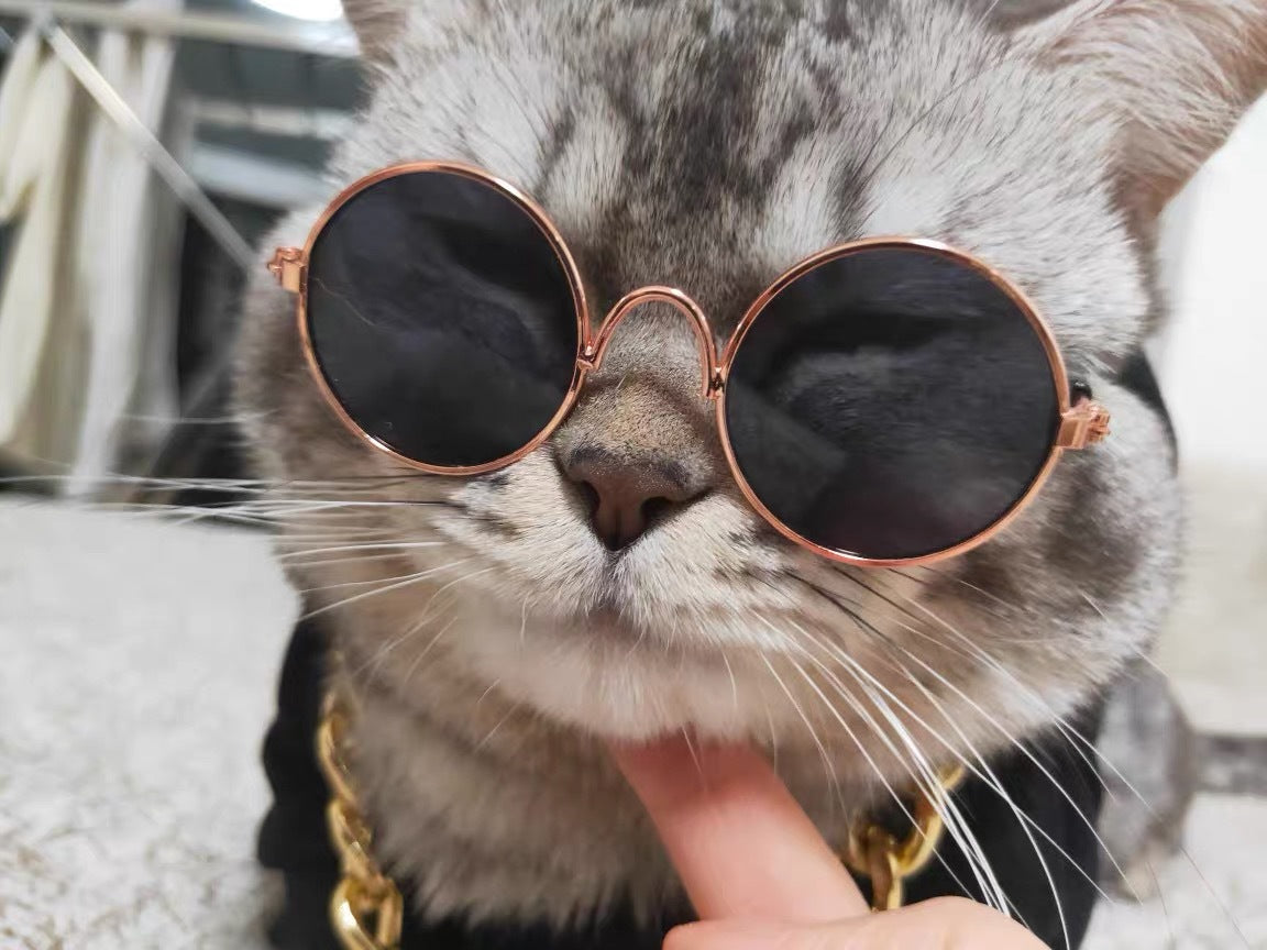 KFX-1733565 Cat Lion Mane Hat with Sunglasses - Cute Funny Pet Photo Prop