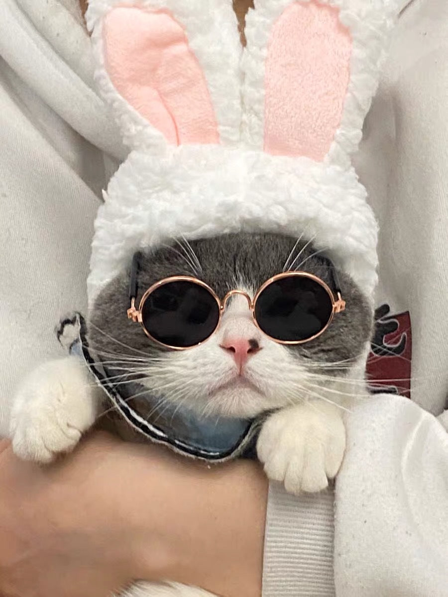 KFX-1733565 Cat Lion Mane Hat with Sunglasses - Cute Funny Pet Photo Prop