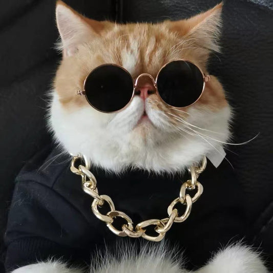 KFX-1733565 Cat Lion Mane Hat with Sunglasses - Cute Funny Pet Photo Prop