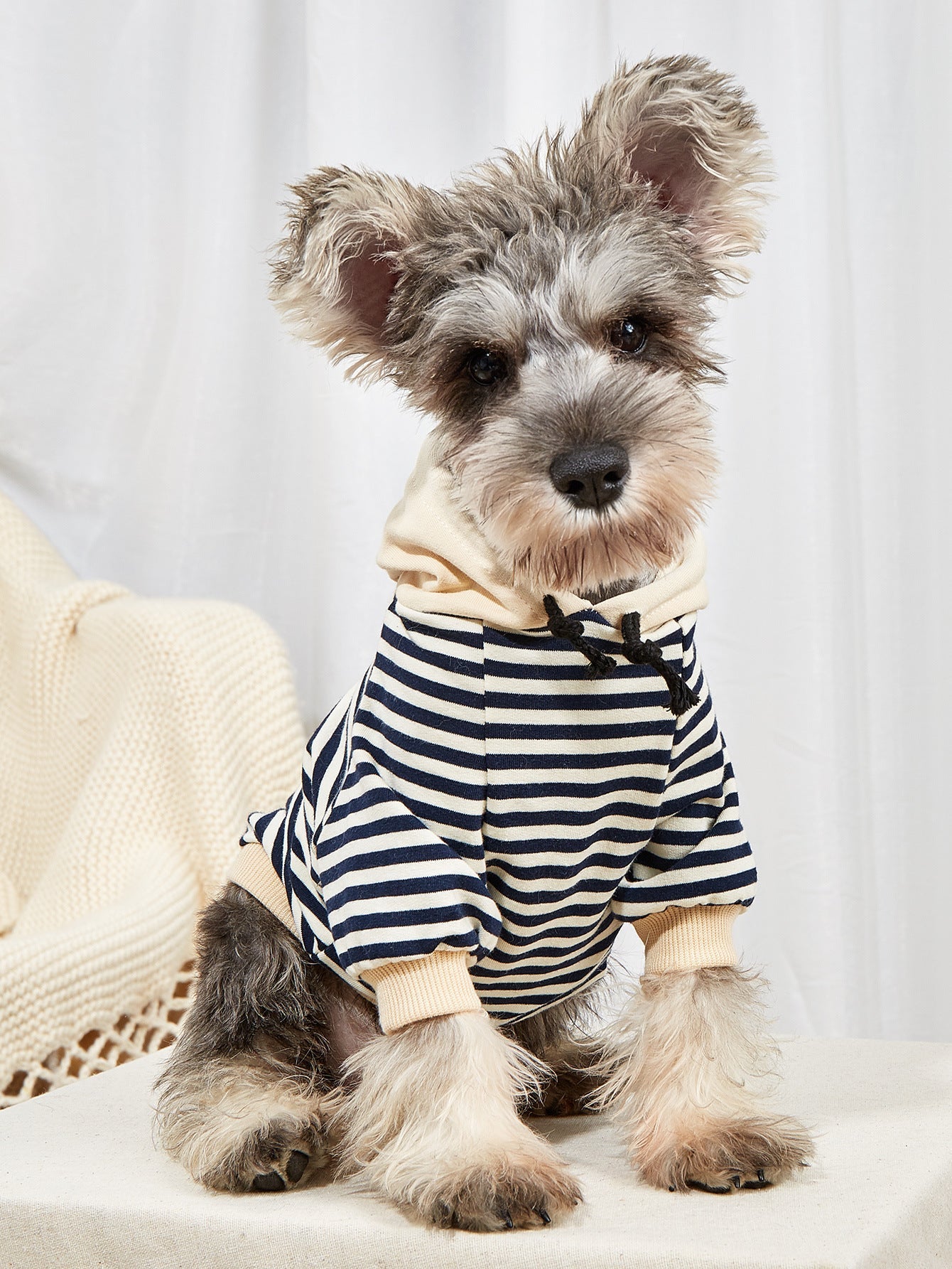 KFX-1737021 Pet Striped Hoodie Sweater for Dogs - Comfortable Two-Legged Apparel