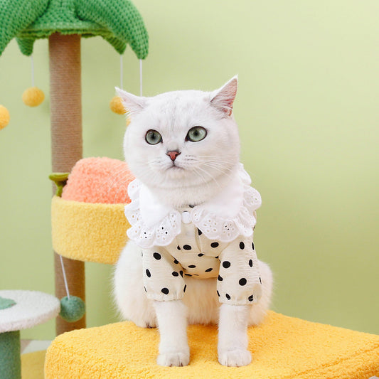 KFX-1740093 Casual Blue Ragdoll Cat T-Shirt in Black and Beige - Polyester Clothing for Pets