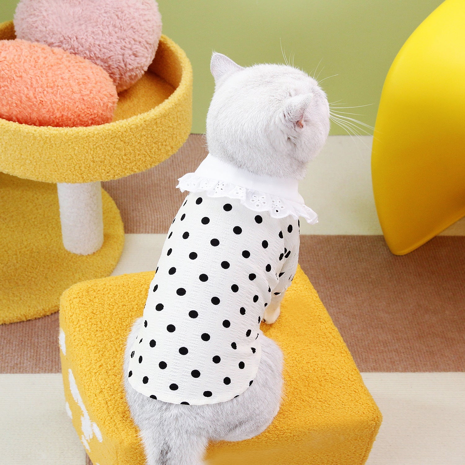 KFX-1740093 Casual Blue Ragdoll Cat T-Shirt in Black and Beige - Polyester Clothing for Pets