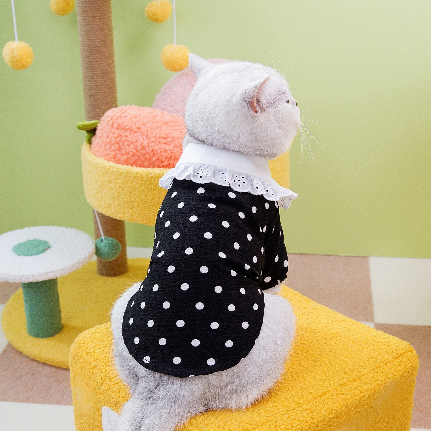 KFX-1740093 Casual Blue Ragdoll Cat T-Shirt in Black and Beige - Polyester Clothing for Pets